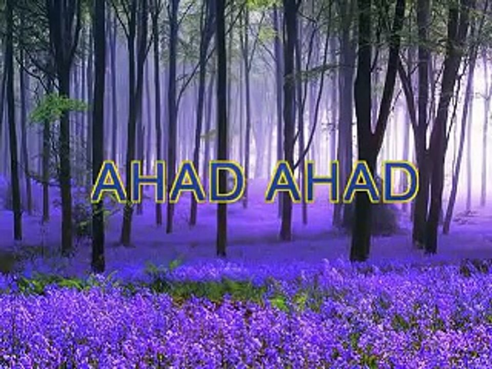 Christian converted to Islam in USA