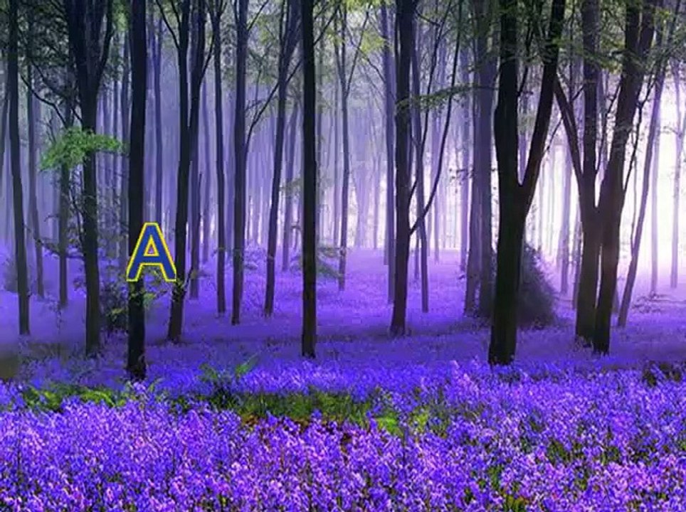 Christian converted to Islam in Germany