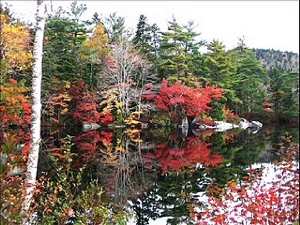 Shes Called Nova Scotia - Rita MacNeil