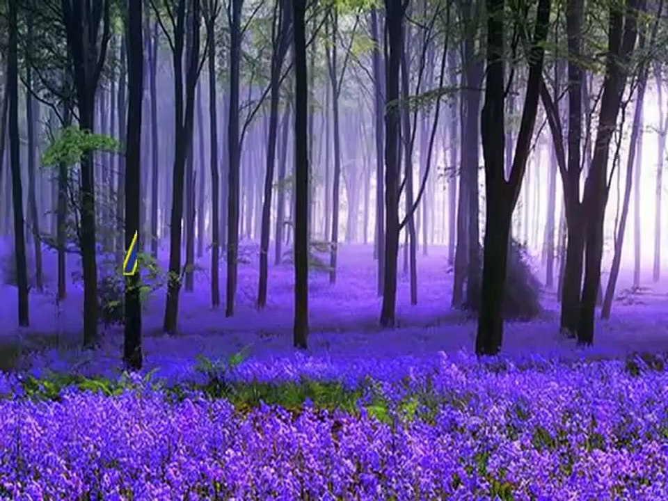 Christian converted to Islam in Greece