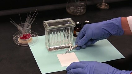 Thin-Layer Chromatography (TLC)