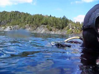 PICT0598 Plongée a Flinkote avec Eric et Mario