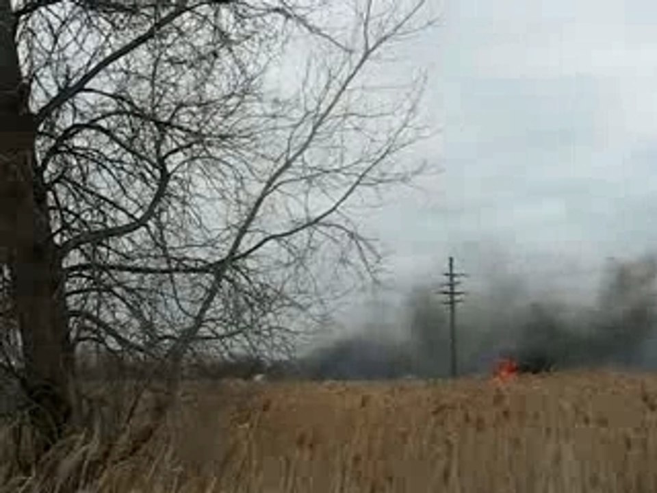 WildFire