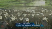 Pacto ’Sinal Verde’ vai oferecer carne de melhor qualidade