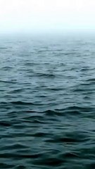 كان صارتلك شنوا موقفك تعليقكم