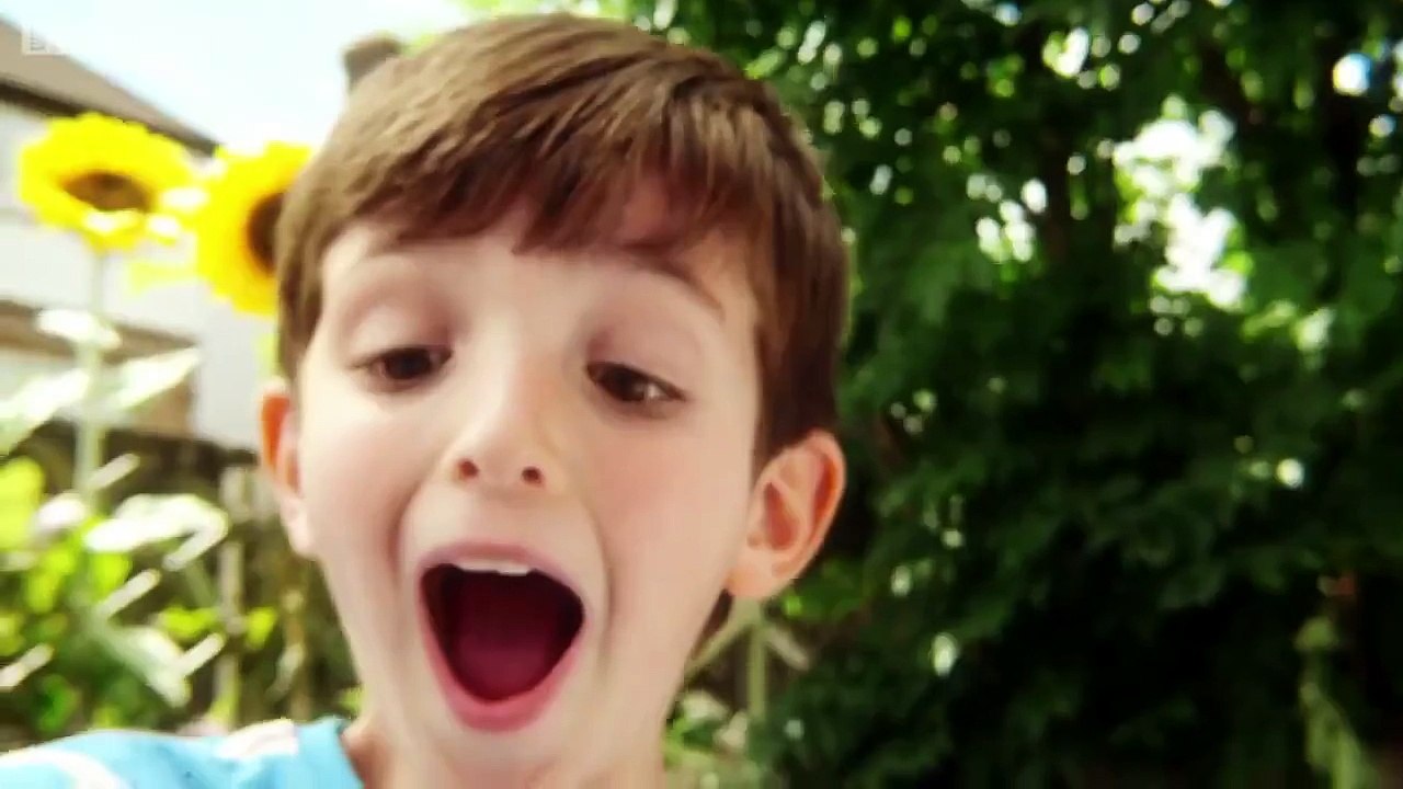 Topsy and Tim