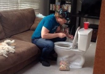 Roommate Caught Eating From a Toilet Bowl