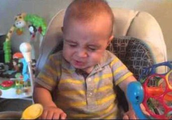 Baby's Dramatic Reaction to Tasting His First Egg