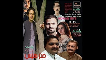 Swat Ta Zo Janana By Dil Raj Pashto New Songs Album 2015 Hunar Hits Vol 1 Pashto HD
