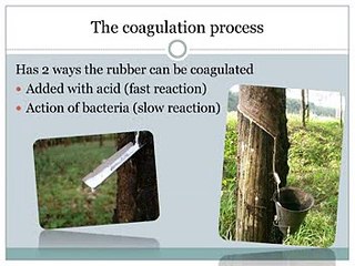 MD Merchem - Natural Rubber