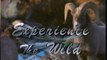 Experience the Wild Intro (1990-1995)