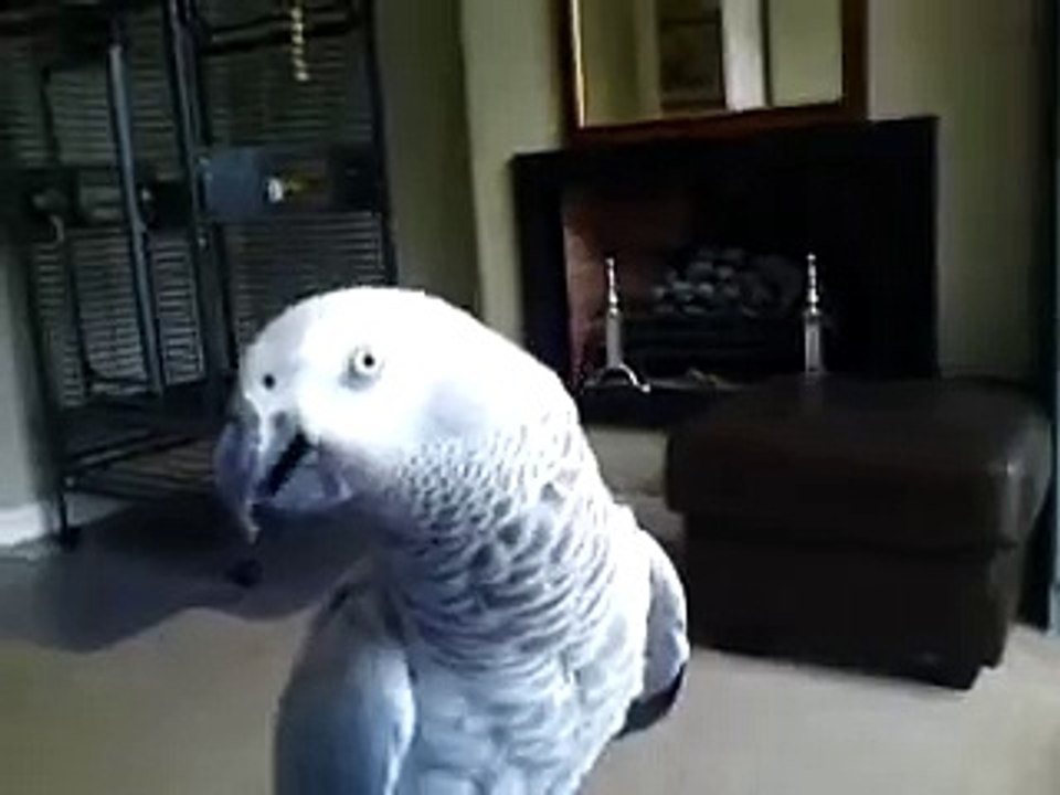 Don't touch me!