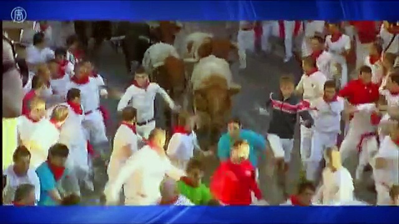 bull attack women