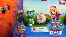 PAW PATROL Skye Action Pack Pup and Rocky Kids Toy Review