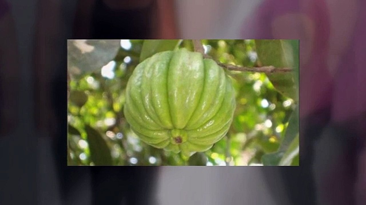 Buy Garcinia Cambogia