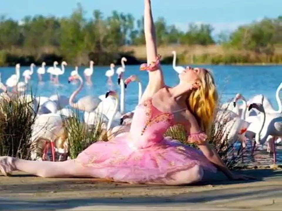 TCHAIKOVSKIs SWAN LAKE  - Ballerinas ♥