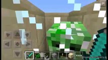 5 facts about the creeper (MCPE)