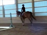 Throwbacks // Meatball Rearing, Ex-Race Horse Training, Reggie Playing