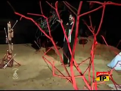 Ya Habib Ya Hussain Video Noha by Irfan Haider 2013