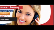 MSN Customer Service|1 855 664 2181|Support Helpline Phone Number