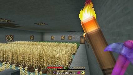 Minecraft: Redstone House