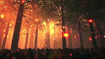 If you like Game of Thrones, you'll love The Chaser Quarterly