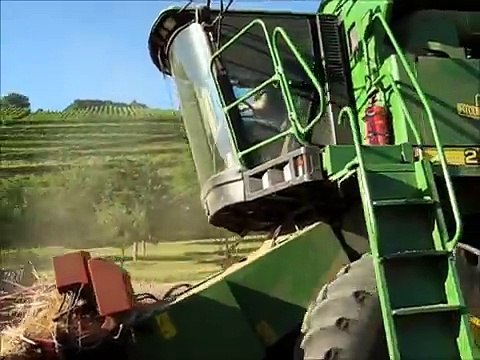 Weizen-Ernte mit John Deere 2256 und klappbarem Geringhoff-Schneidwerk 5,5 Meter