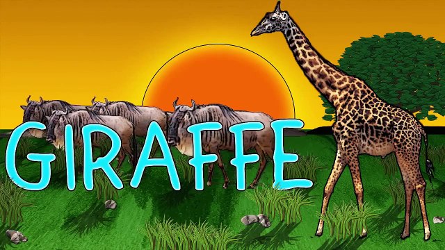 Animal Finger Family Nursery Rhymes Song! Finger Family Song Animals Wild Animals Finger Family Son