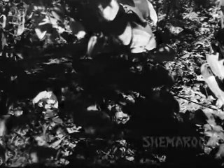 HUM DONO - 1961 - (Super Hit Bollywood Movie) - (Part 4 of 15)