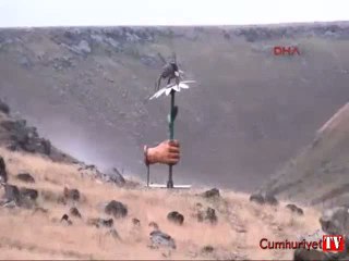 Arı heykeli 5 kilo bal verdi