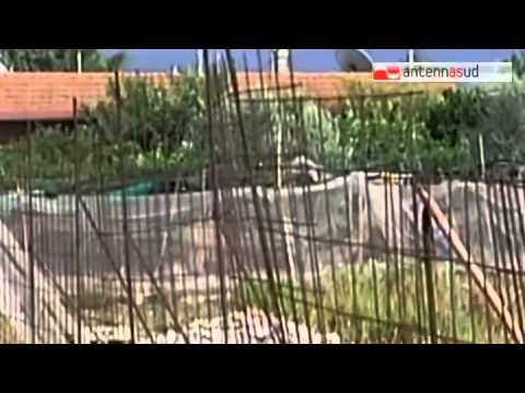 TGSRVago 26 carbonara anziana violentata fermati altri due romeni