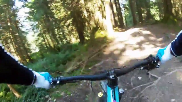 Bikepark Leogang | Bongo Bongo 2015 (nonstop)