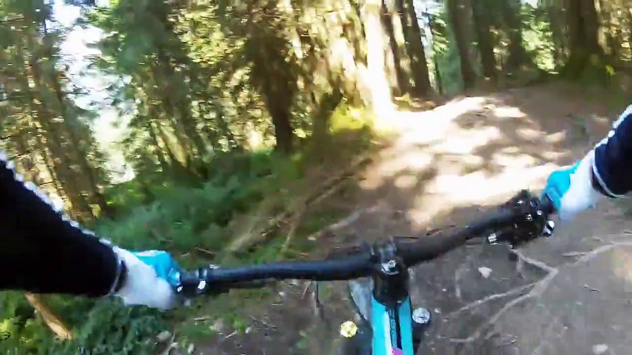 Bikepark Leogang | Bongo Bongo 2015 (nonstop)