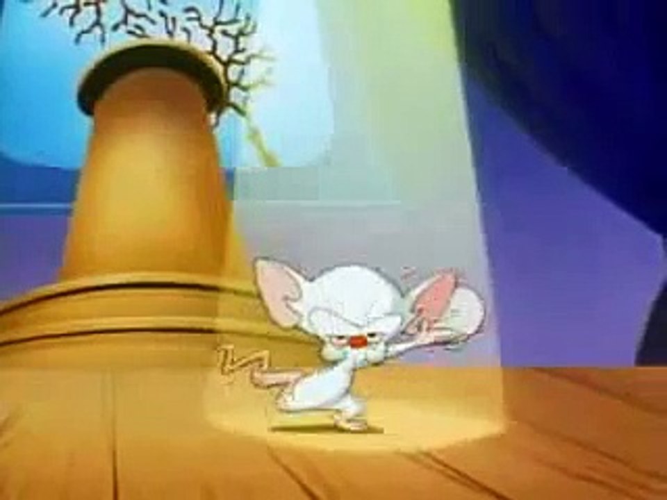 pinky y cerebro partes del cerebro