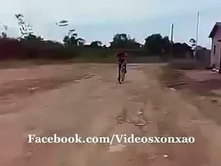 Không nhịn được cười - Hài hước vô đối