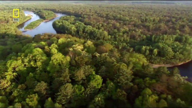 (National Geographic) Wild Russia: Siberia HD (Nature Documentary) Interestingly documen