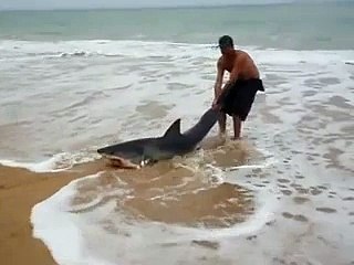 A man doing great job