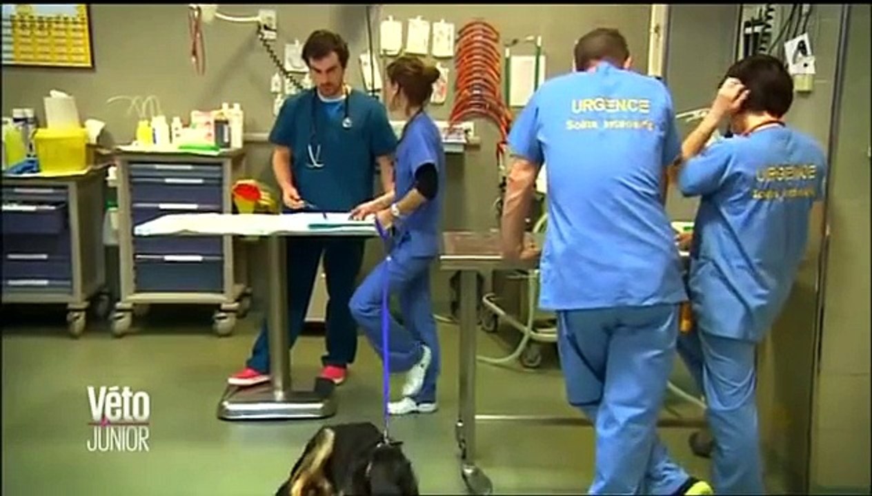 Véto junior: Episode 1