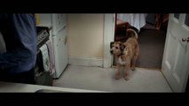 Un'Occasione da Dio: Clip 'Il Cane parlante'