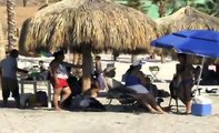 clavados peligrosos playa coromuel la paz b.c.s. mexico