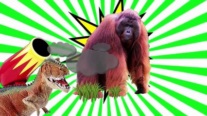 Descargar video: Animal Sounds for Children! Animals Sounds Real Animals! Learn Animal Sounds Animal Names and Sound