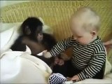 bebekle maymun yavrusunun eglencesi komik