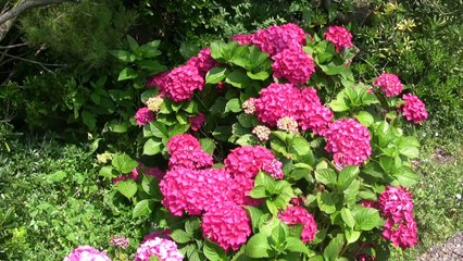 France Pays Basque la station balnéaire de Biarriitz