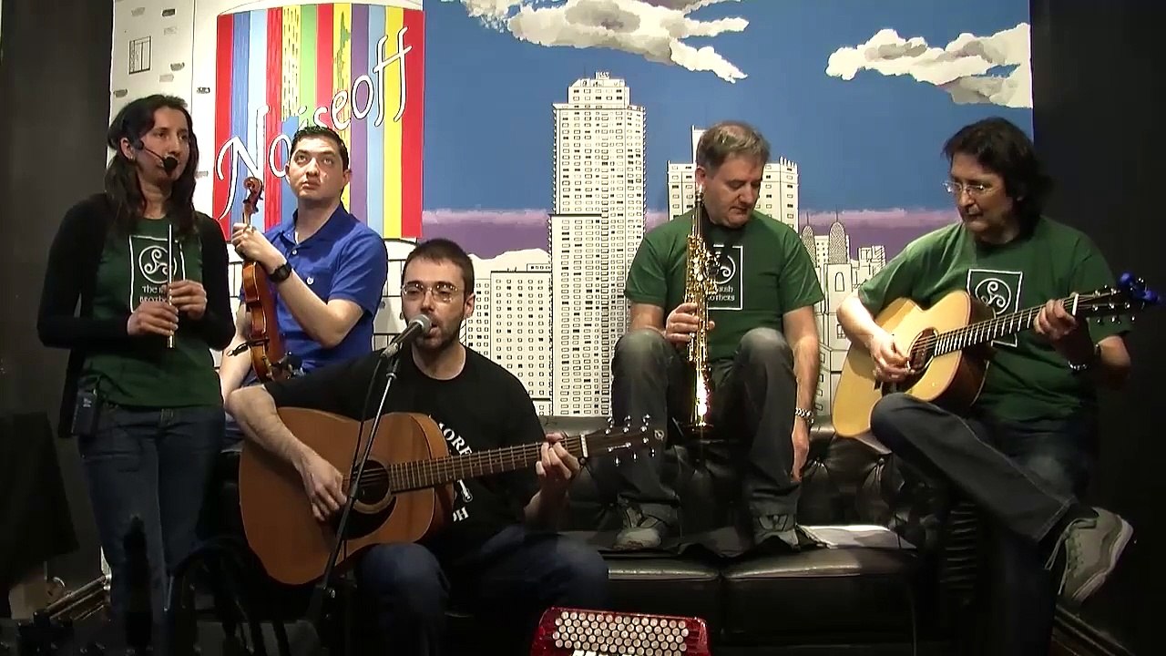 The Irish Brothers - The star of country down