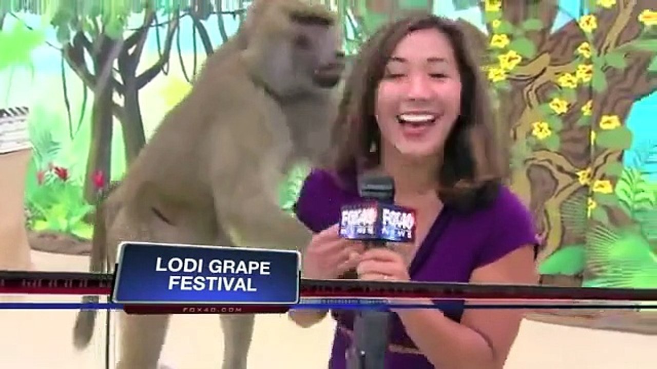 2013'ün En Komik Canlı Yayın Kazaları!