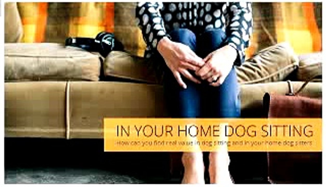 The Best dog sitters Austin 78735 | (512)484-5840