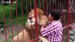 Cute Animals Cuddling - A Cute Animal Videos Compilation 2015 HD 2015