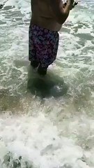 Shark Attack LOL hahaha