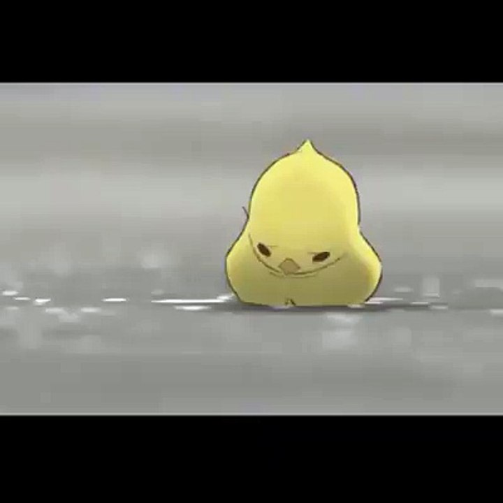 Chicken Mother's Love for Her Baby