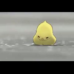 Chicken Mother's Love for Her Baby